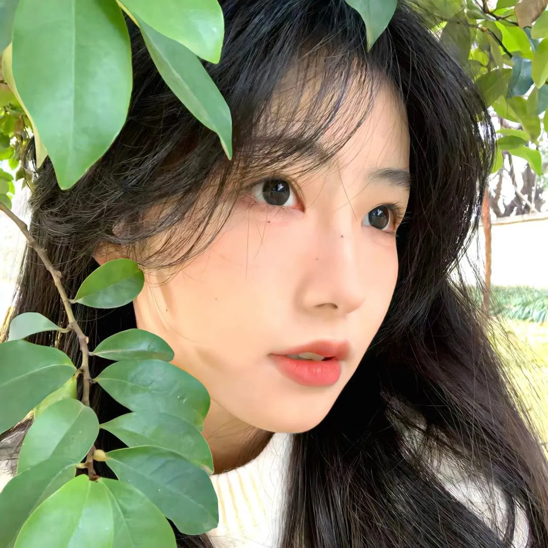 一个菲律宾家庭的进化